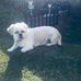 Profile Picture of Debbie Markham (@debbie.markham.71) on Facebook