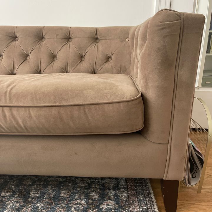 Profile Picture of My dog’s couch (@dogcouch) on Tiktok