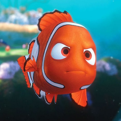 Profile Picture of Robert Nimmo (@Chief_Sharkbait) on Twitter