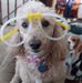 Profile Picture of Debbie Clayton (@debbie.clayton.7370) on Facebook