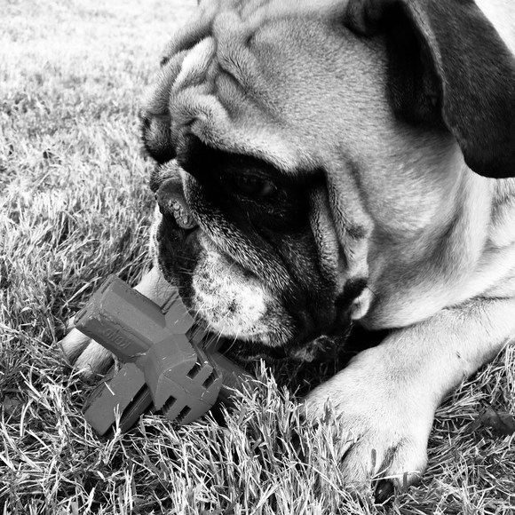 Profile Picture of Amber Stottlar (@amberrenee0130) on Poshmark