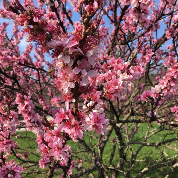 Becky Maynard - Poshmark Profile Picture of Becky Maynard (@maynard41230) on Poshmark