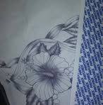 Profile Picture of Clementine Spotless (@clementine.spotless.1) on Facebook