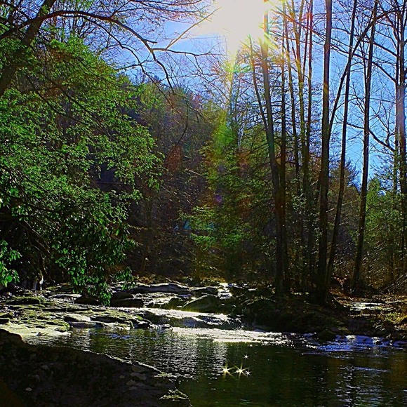 Profile Picture of Beth Wallwork (@bethwallwork) on Poshmark