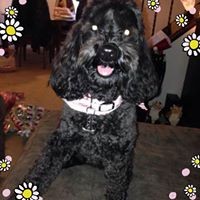 Profile Picture of Coreen Clark (@coreen-clark-2) on Quora