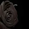 Profile Picture of Shauna Simms (@@diamondeyesaudios) on Tiktok