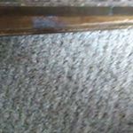 Profile Picture of Lorraine Grayson (@lorraine_princess_476) on Instagram