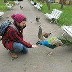 Profile Picture of Guy Shapira (@guy_shap) on Instagram