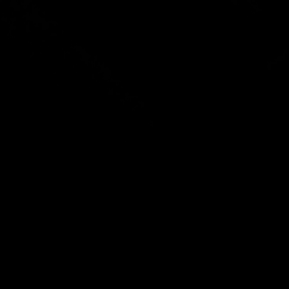 Greta Calabria - Poshmark Profile Picture of Greta Calabria (@greta009) on Poshmark