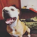 joshua_navarrete_ - Instagram Profile Picture of joshua_navarrete_ (@joshua_navarrete_) on Instagram