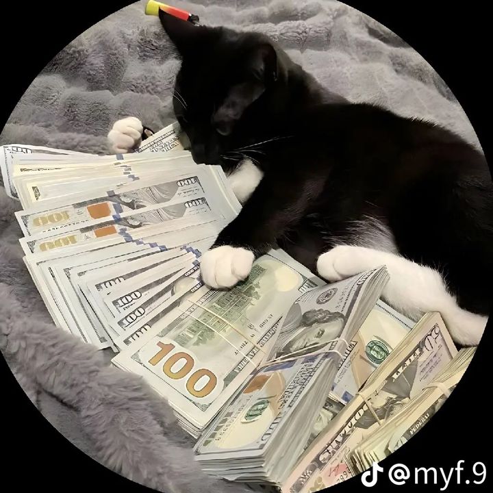 Profile Picture of Michael Huffer (@michael.huffer4) on Tiktok