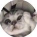 Profile Picture of Tori Parrow (@cyn.raptor.1) on Facebook