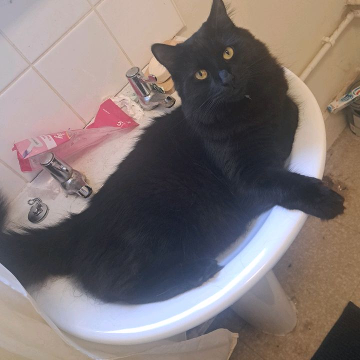 Profile Picture of Sophie Barton Wilson (@sophie.barton.wils) on Tiktok