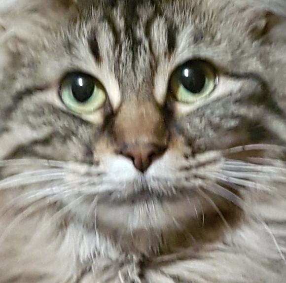 Profile Picture of Jonah Sloss (@jonahscult) on Poshmark