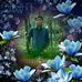 Profile Picture of Lorenzo Valerio (@lorenzo.valerio.1422) on Facebook
