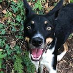 Profile Picture of Dawn Tinley (@dawnmoirtinley) on Instagram