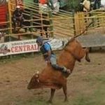 Profile Picture of Fernando Alfonso (@fernando.alfonso.79219) on Instagram