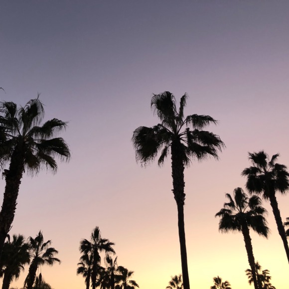 Profile Picture of Jennifer Mikulina (@jenmik2) on Poshmark