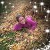 Profile Picture of Leonard Halpern (@leonard.halpern.9) on Facebook