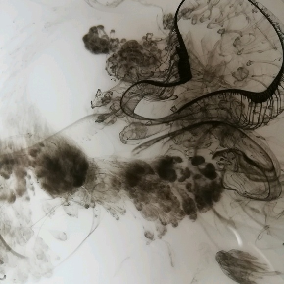 Profile Picture of Henry Foisie (@henrythepudge) on Poshmark