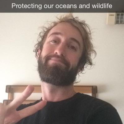 Profile Picture of Matthew Pedler (@Lazasaurus_Peds) on Twitter