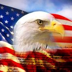 Profile Picture of Howard Waldron (@howard.waldron.758) on Facebook