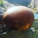 Profile Picture of Ruby Thomas (@rubyt12) on Instagram