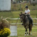 Jody Pugh Fontanetta - Instagram Profile Picture of Jody Pugh Fontanetta (@fairfieldfarmstn) on Instagram