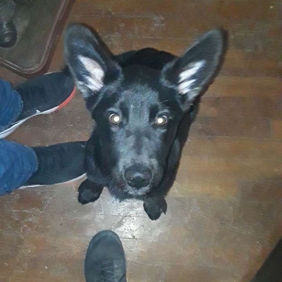 Profile Picture of Garrett Woody (@tltgapollo) on Poshmark