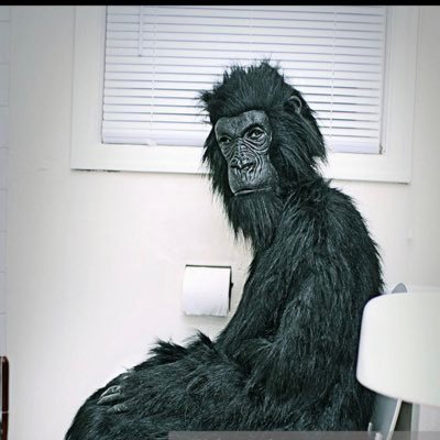 Profile Picture of Victor Neto (@ROTCIV_OTEN) on Twitter