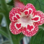 Profile Picture of Ann M Eldredge (@anneldredge) on Instagram