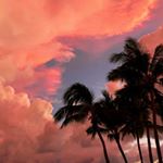 Profile Picture of Andrew (@_n_o_t_t_e_) on Instagram