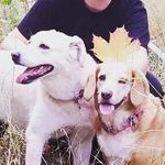 Profile Picture of Alex Wallen (@alex_wallen_) on Instagram