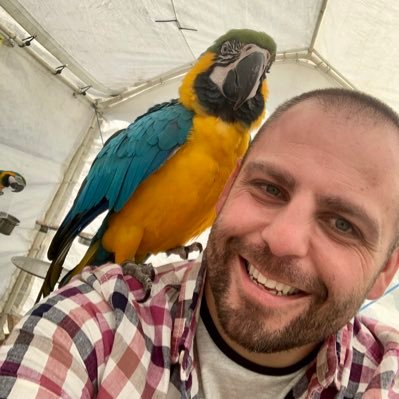 Profile Picture of Dan Procter (@DanProcter8) on Twitter