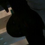 Profile Picture of King webb/swagekid 6/bang bang (@prezi12) on Instagram