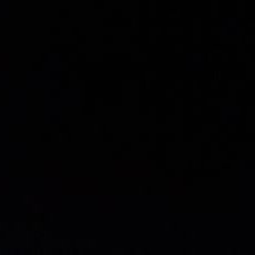 Profile Picture of C.L (@clifflevy06) on Twitter