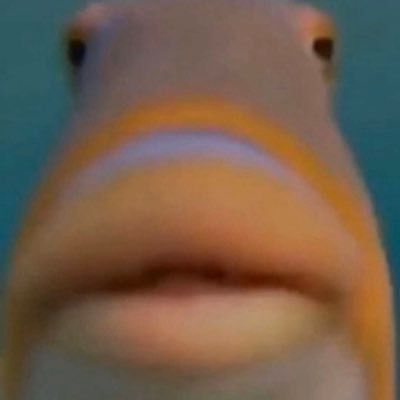 Profile Picture of David Caughman (@caughman_david) on Twitter