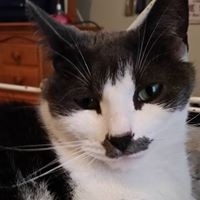 Profile Picture of Catherine Melissa (@catherine-melissa-2) on Quora