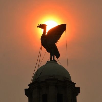 Profile Picture of Brian Newall (@scousey72) on Twitter