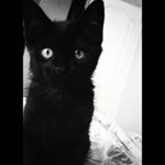 Profile Picture of Andrea Domínguez (@andre.dominguez) on Instagram