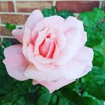 Profile Picture of Bobbie Jackson (@bobbiejackson85) on Instagram