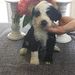 Profile Picture of David McNiff (@davidmcniff2113) on Pinterest