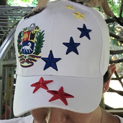 Profile Picture of Jenny Cases (@jennycases) on Twitter