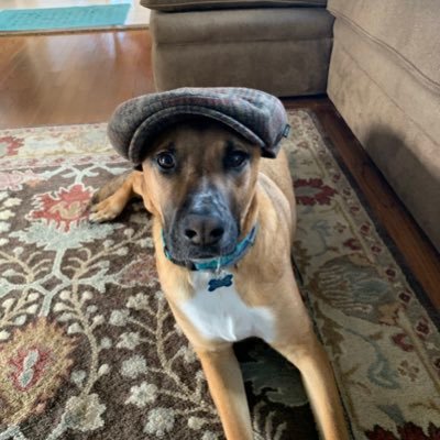 Profile Picture of Bill Hutton (@BillHutton20) on Twitter