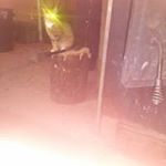 Profile Picture of Doug Nielson (@dmanduger) on Instagram