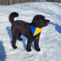 Profile Picture of Lori Wozny (@lori-wozny-1) on Quora