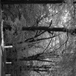 Profile Picture of robot (@grahamwhitleyx5) on Instagram