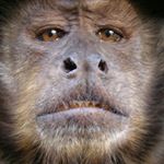 Profile Picture of User Unknown (@wadeneedham) on Instagram