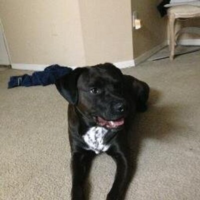 Profile Picture of Steve Bleicher (@stevebleicher) on Twitter