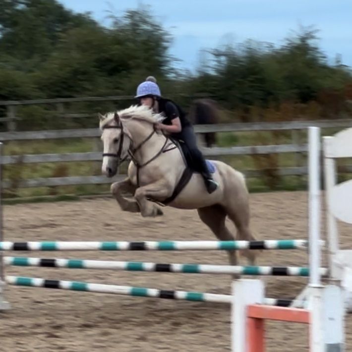 Profile Picture of Lisa Mcfadden (@@lisamcfadden59) on Tiktok